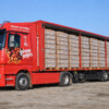German Pellets LKW-Komplettladung – 24 Paletten (72 Säcke × 15 kg pro Palette / 1080 kg)